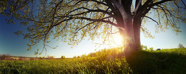 Resilient Counseling, PLLC