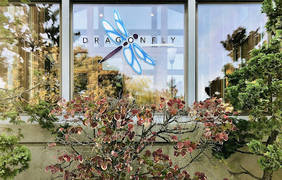 Dragonfly Support Services